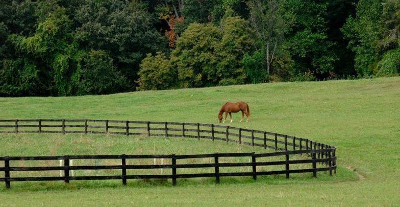 Meadowood Stables
